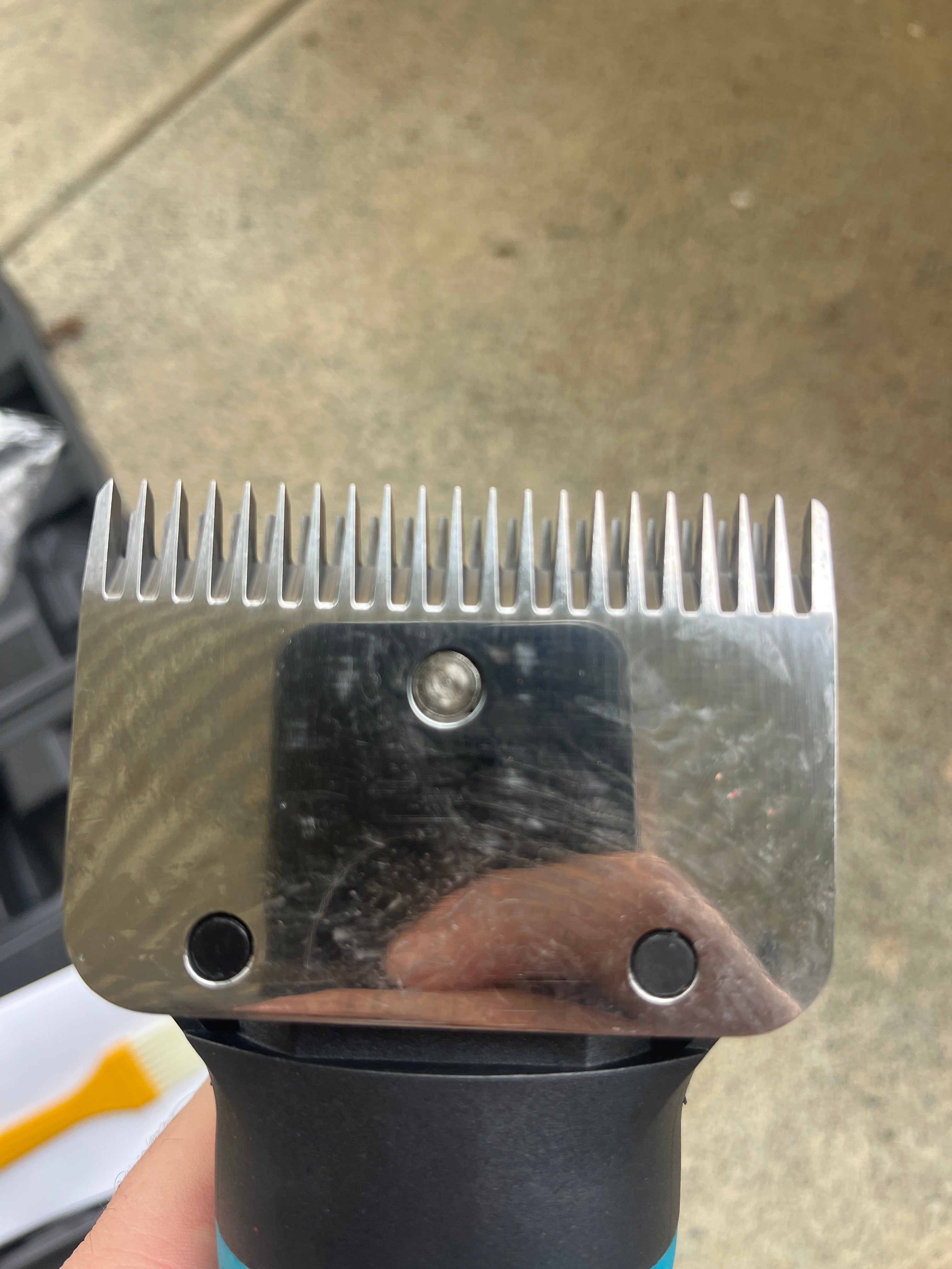 Makita Horse Clipper Blades