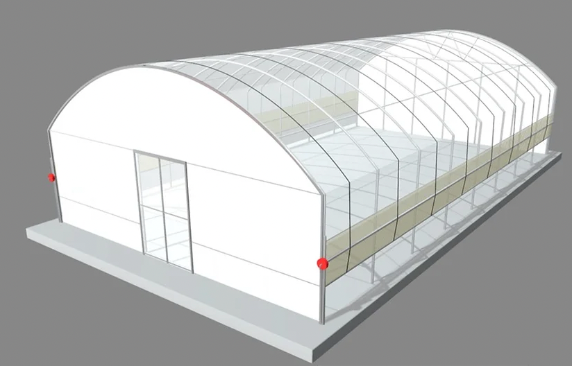 Polytunnel (6m x12.25m length)