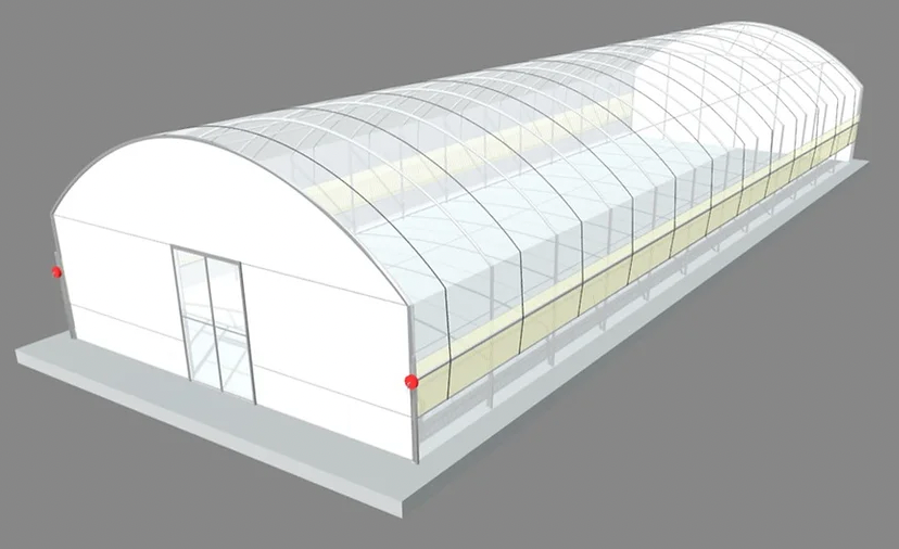 Polytunnel (6m x18m length)