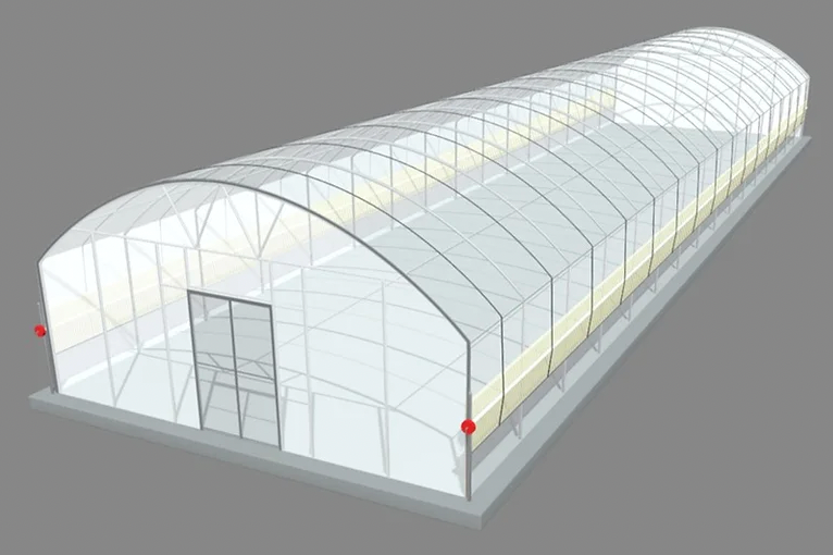 Polytunnel (6m x23.75m)