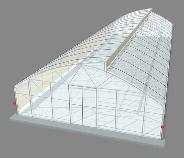 Polytunnel (8m x23.75m)