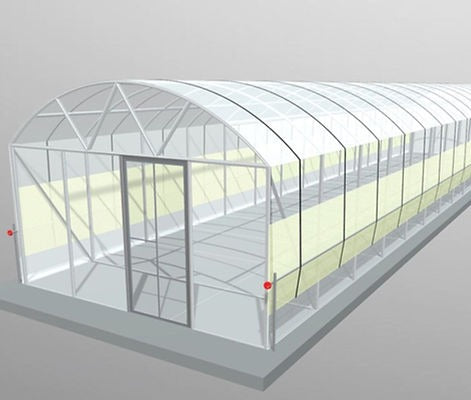 Polytunnel (4m x 16m length)