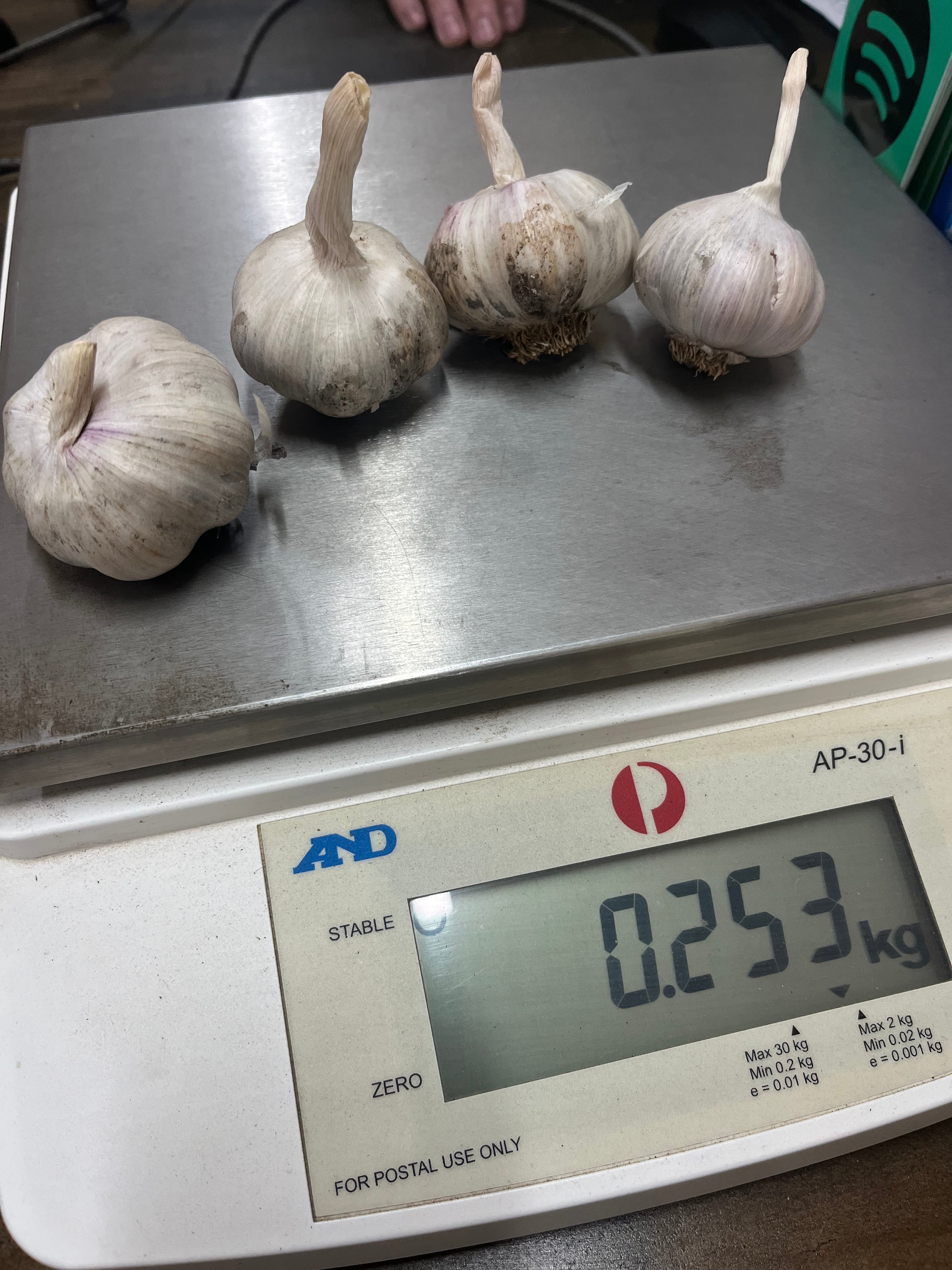 Fresh Purple Garlic – Hand Grown in Fernihurst, Australia (Seasonal Harvest)
