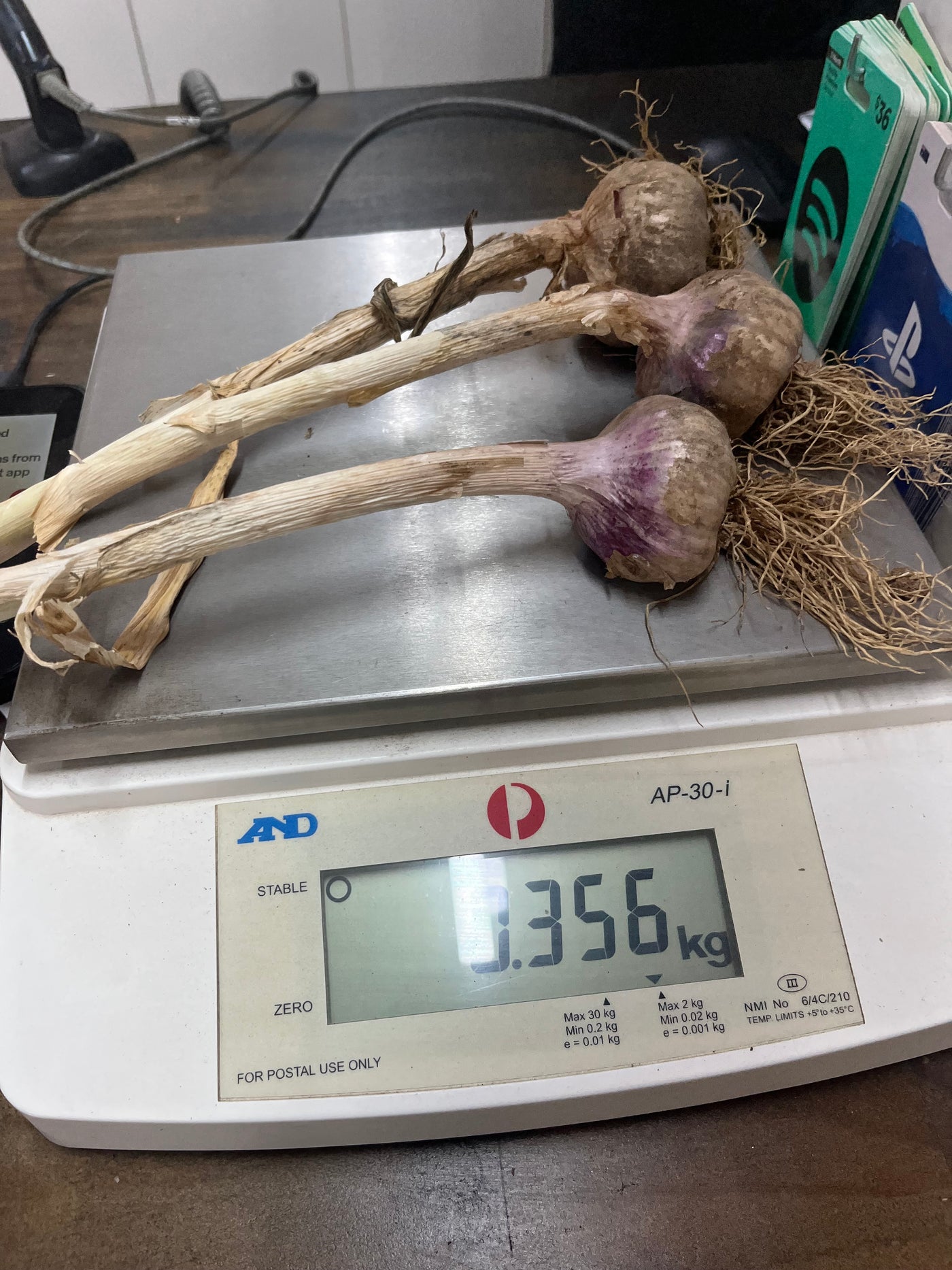 Fresh Purple Garlic – Hand Grown in Fernihurst, Australia (Seasonal Harvest)