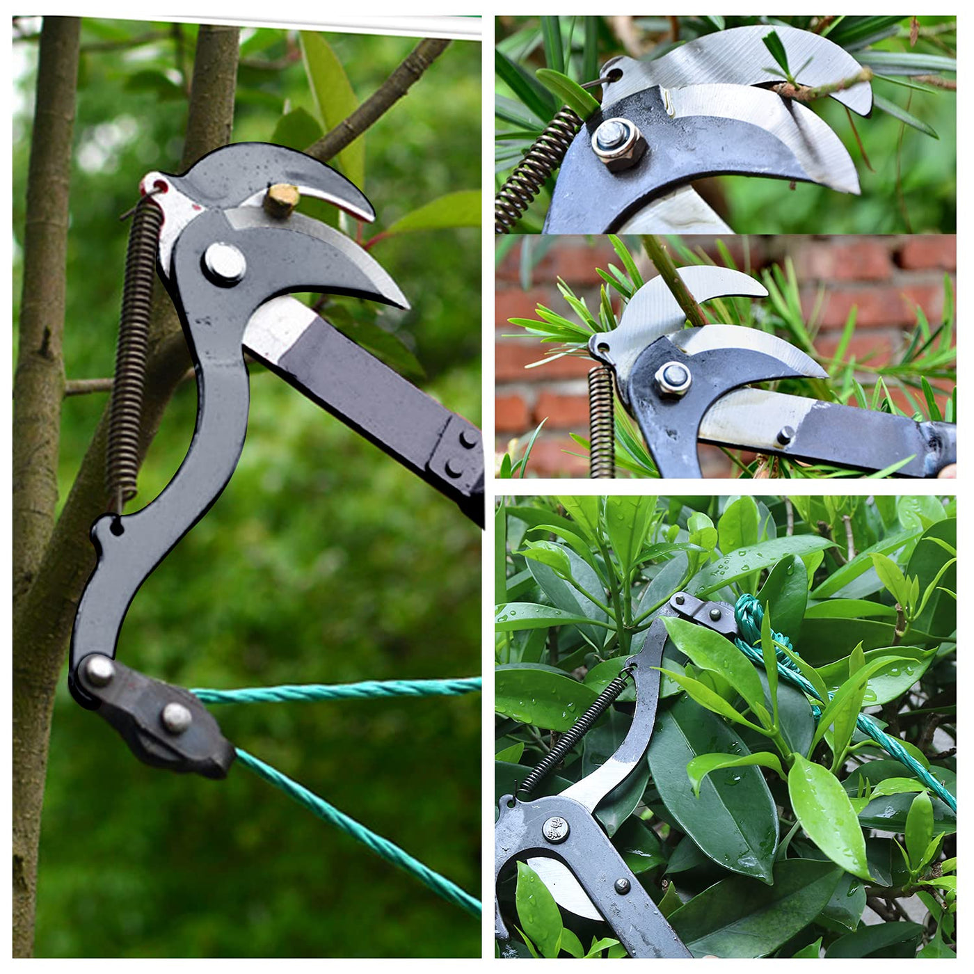Professional Tree Branch Pruning Tool